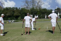 96ED1ABE-8257-4EAB-981E-2BEA0ECFC97D_1_201_a